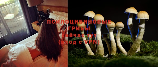 jwh Куйбышев