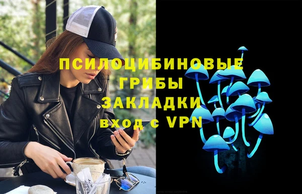 тгк Сосновый Бор